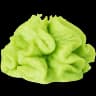 Wasabi